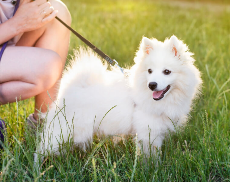 キャリープラン